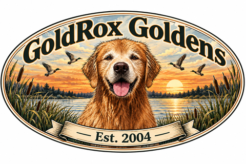 GoldRox Goldens / Arson, Est. 2004
