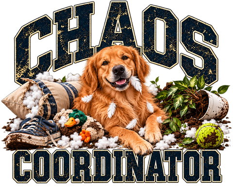 Chaos Coordinator