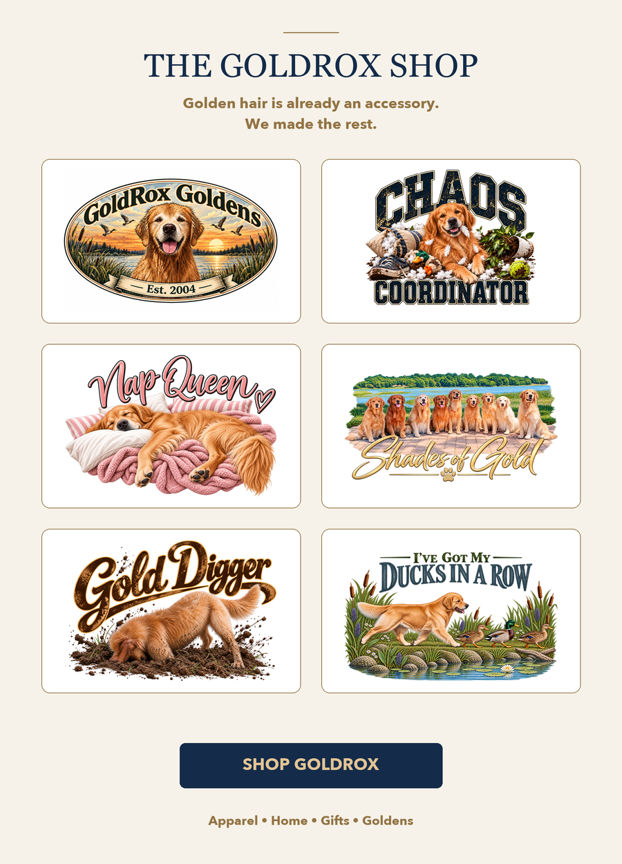 The GoldRox Shop. Golden hair is already an accessory. We made the rest. Six Golden Retriever designs. Shop GoldRox: Apparel, Home, Gifts, Goldens.
