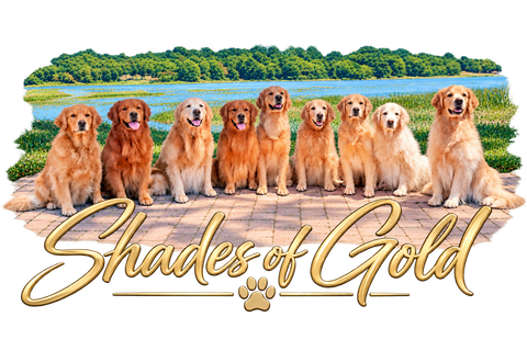 Shades of Gold